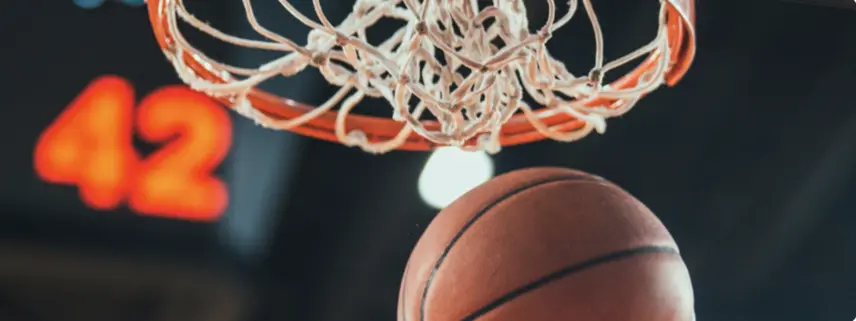 Pallacanestro Varese